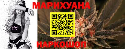 шишки Гусиноозёрск