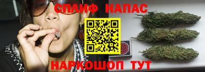 шишки Гусиноозёрск