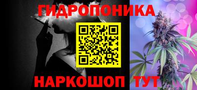 шишки Гусиноозёрск